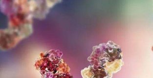 速递 | 乐普生物抗PD-1抗体获批上市，治疗“泛癌种”