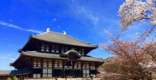 奈良：日本史上的第一个首都，为何说是“比西安更像唐朝长安的城市”？