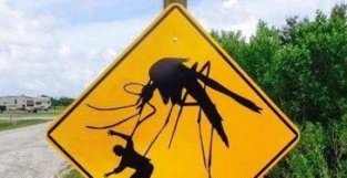 止汗剂致癌？O型血招蚊子？这个夏天，你被谣言吓到了吗？