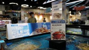 东海梭子蟹上桌啦！8月的第一口海鲜 你想好吃什么了吗？