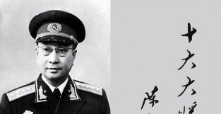 草地分兵后，红一方面军组建的陕甘支队的大队长与政委都是谁？