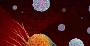 Cell：我国研究人员发现一种植物免疫新蛋白，或有望治愈癌症！