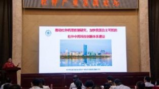 三门峡举办灵宝杜仲产业发展论坛