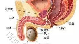 北京嘉佩乐医院科普附睾炎能彻底恢复吗？价格多少？
