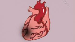 关于心肌梗的前期症状有哪些?当身体出现“3疼2多”，需警惕