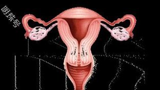 昆明送子鸟医院医生讲解一侧输卵管如何怀孕？