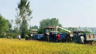 收稻+秸秆还田，平桥区大力推广农业机械化