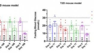 科学岛要学团队研发出针对糖尿病的新型MST1机酶抑制剂