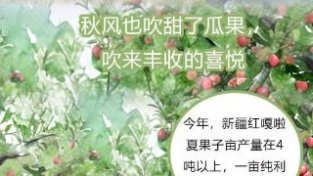 【“漫”说丰收】秋粮已收获28.7%!全国各地“丰”景如画