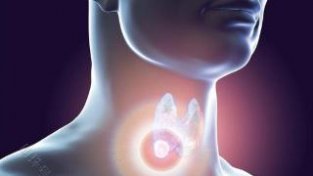 甲状腺常见的疾病有哪些？一文科普下