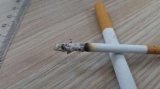 如果实在戒不了烟，在以下3个时间段最好不要吸烟
