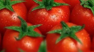 西红柿最好生吃，熟吃不利于吸收营养？不妨了解下