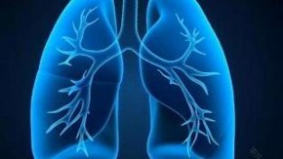 肺气虚的人有什么表现？吃这两种食物，或许能促进肺气的滋长