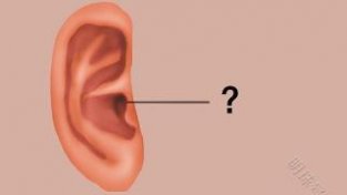 为什么说听力下降容易增加老年痴呆发病率？一文揭开真相