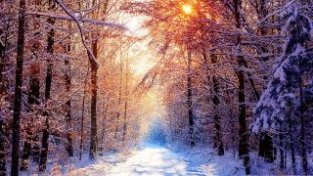 冬天是补音养肾的好季节，顺应自然界收藏之势