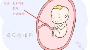 为了避免宝宝的脐带受到感染，宝妈们在平时的时候一定要注意护理