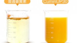 琛蓝品牌原料CuminUP30™创新姜黄素