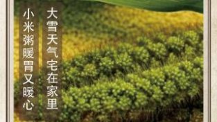 农历中国 | 十一月十六 · 小米粥