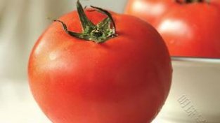 为何现在的西红柿都“硬邦邦”的，一文揭开疑或
