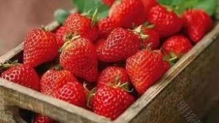 草莓美味可口，营养高，但这几类人，平时最好少吃