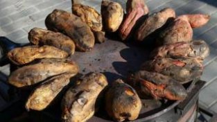 红薯能消灭98.7%的癌细胞，有依据吗？一文揭晓答案