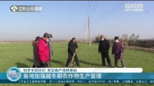 江苏各地加强越冬期农作物生产管理