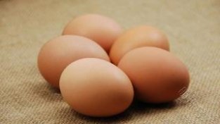 机蛋、鸭蛋、鹅蛋……哪种更有营养？一文揭晓答案