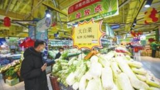 政府储备蔬菜价格最低每斤0.39元