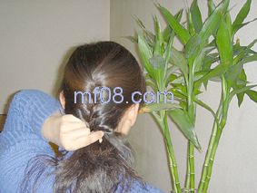 �����̷�����Show[��ͼ]