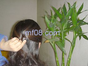 �����̷�����Show[��ͼ]