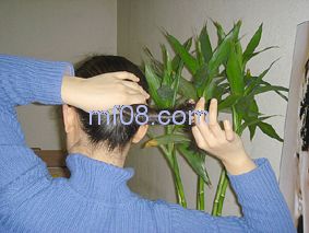 �����̷�����Show[��ͼ]