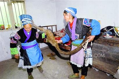 82��������̫����4����3��(ͼ)