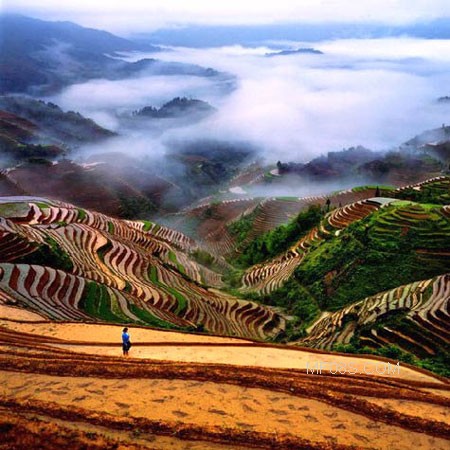 ���ͼƬ��ҳ