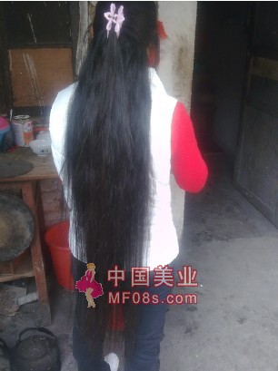 ���ȳ�������